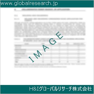 グローバルリサーチ調査資料のイメージ